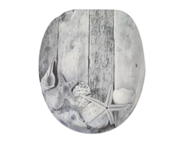 MDF 旧木设计印花马桶盖