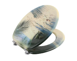 MDF海滩设计印花马桶座圈
