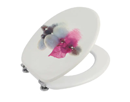 带静音铰链的家用印刷马桶座圈