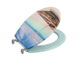 MDF木头设计印刷马桶座圈